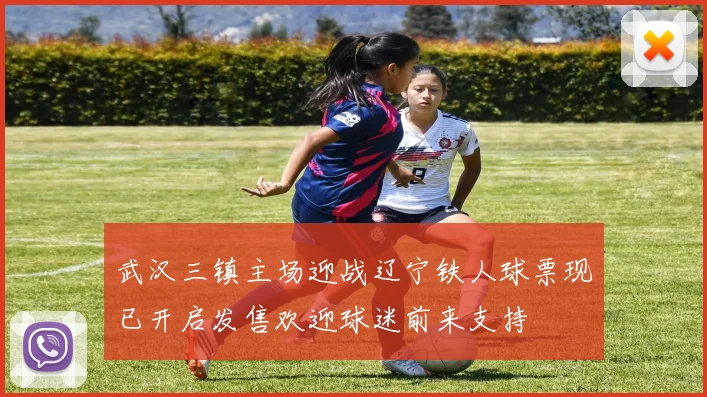 武汉三镇主场迎战辽宁铁人球票现已开启发售欢迎球迷前来支持